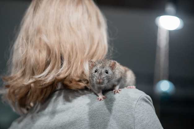 Боязнь мышей и крыс: что это такое?