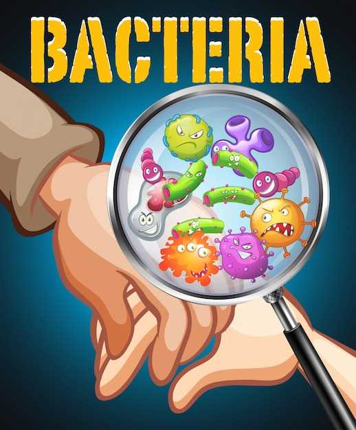 Появление первых бактерий: когда это произошло?