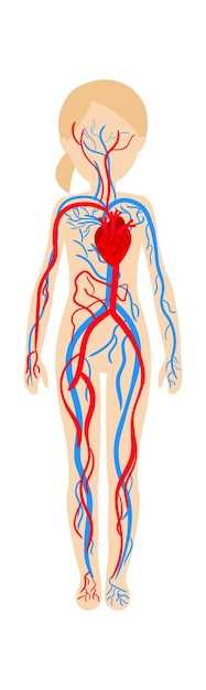 Заболевания кровеносной системы