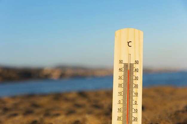 Повышенная температура: причины, симптомы и способы снижения
