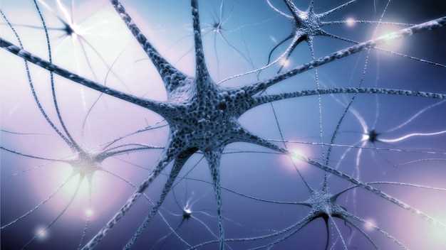 Структура центральной нервной системы